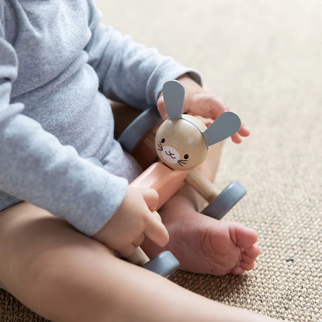 Bunny Racing Car - Image 5