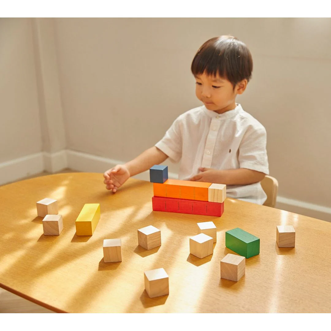 Colored Counting Blocks - Unit Plus - Image 3