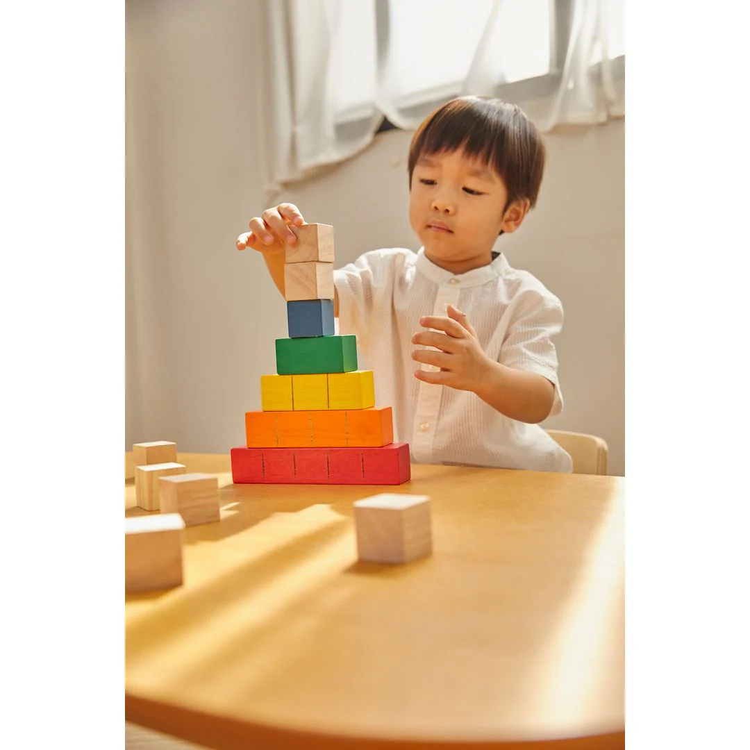 Colored Counting Blocks - Unit Plus - Image 4