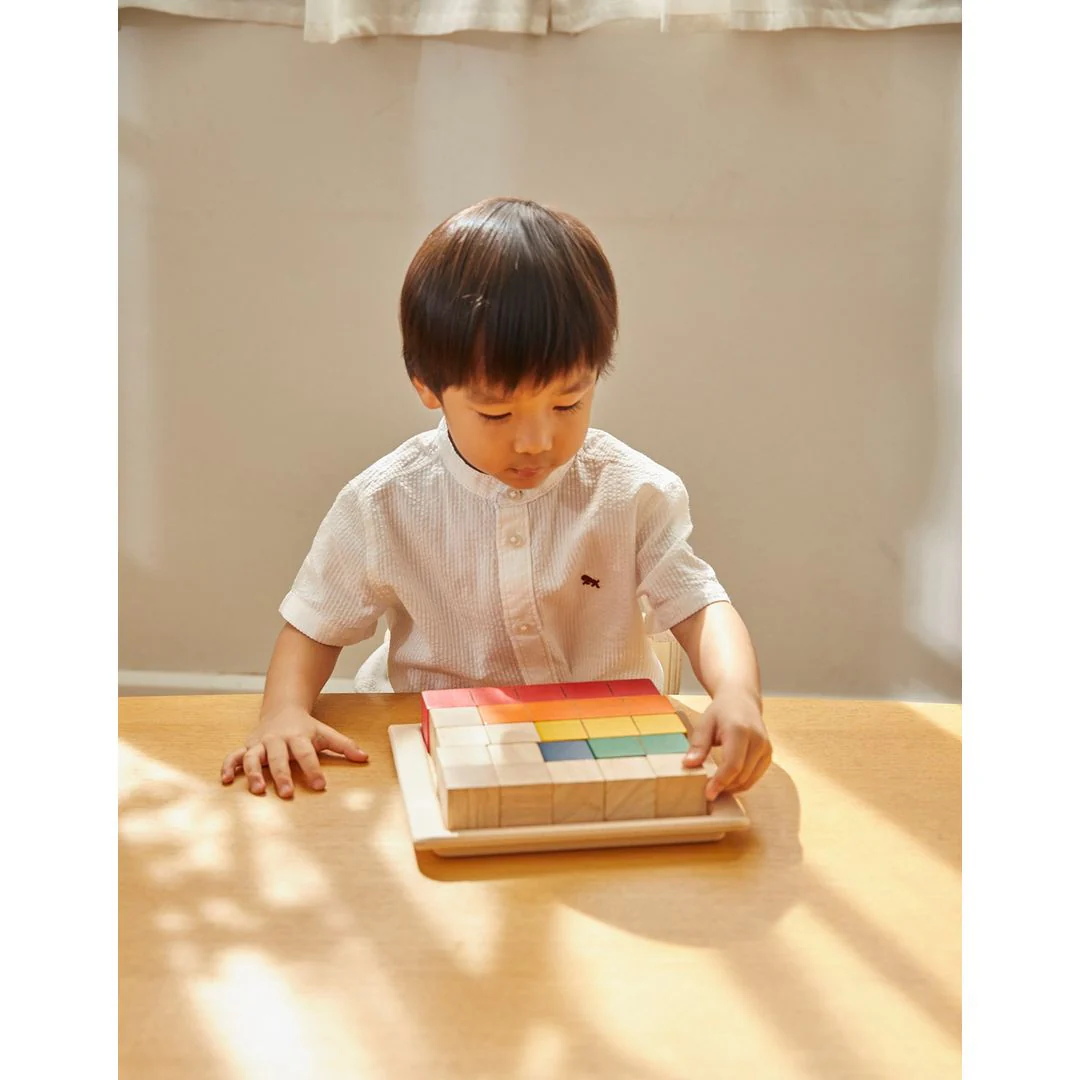Colored Counting Blocks - Unit Plus - Image 5
