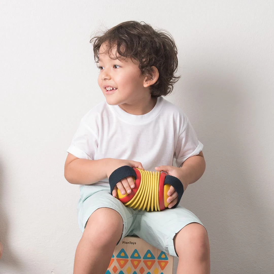 Concertina - Image 3