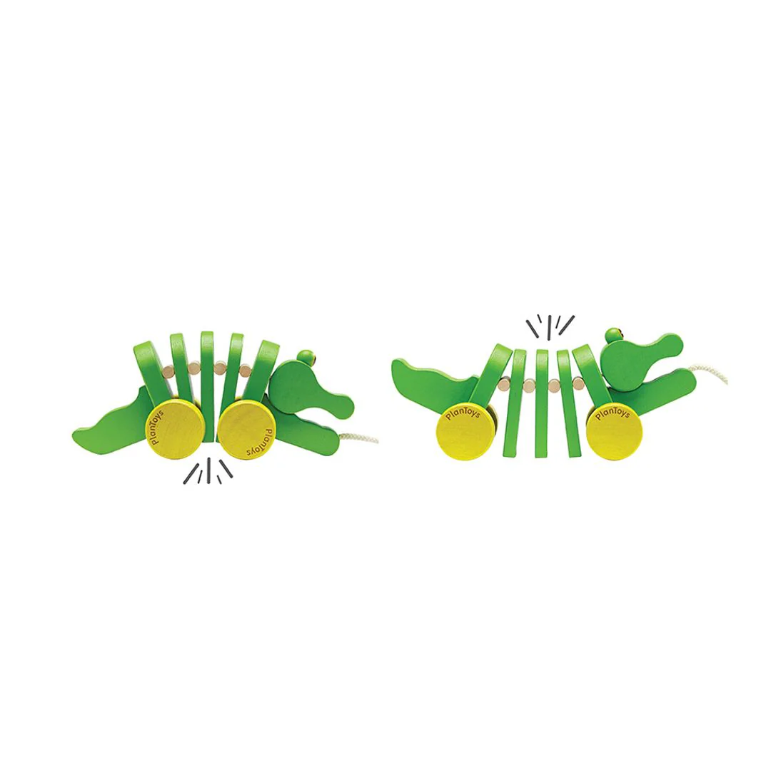 Dancing Alligator - Image 9