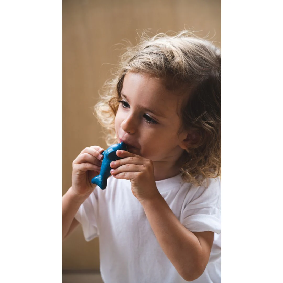 Dolphin Whistle - Image 4
