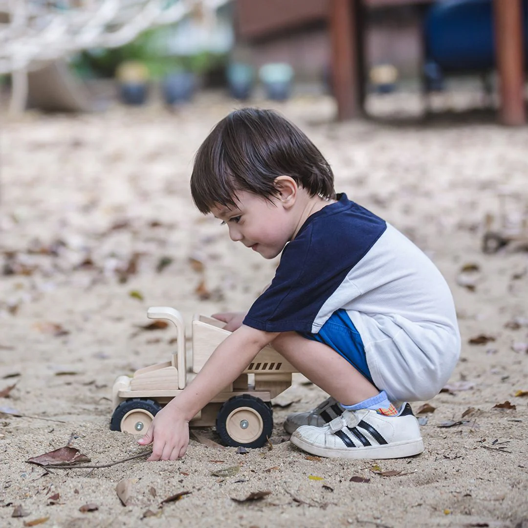 Dump Truck - Image 6