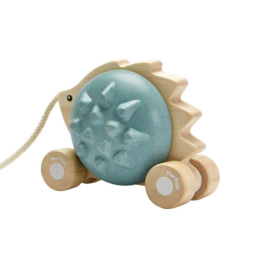 Pull-Along Hedgehog - Blue - Image 8