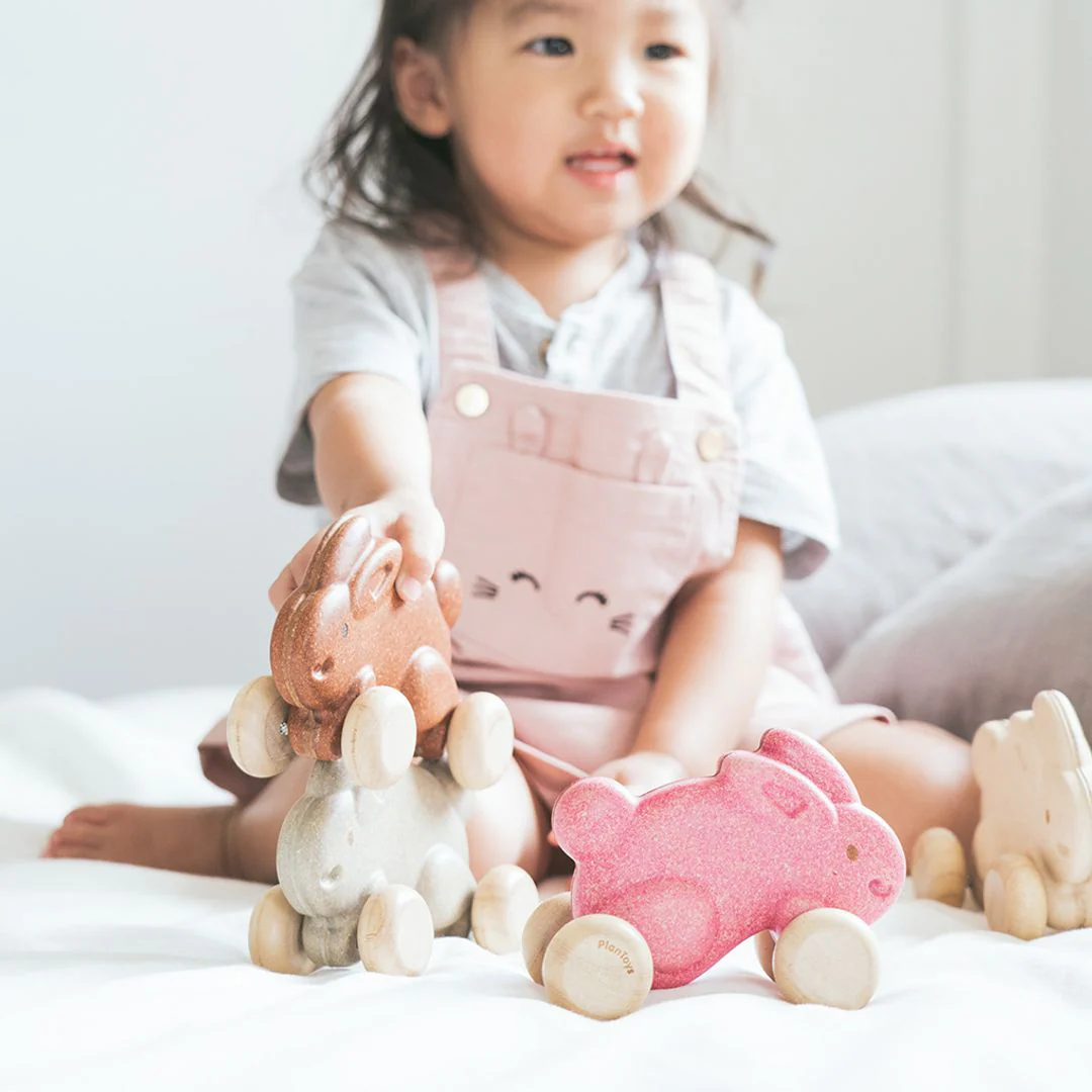 Push Along Bunny - Pink - Image 5
