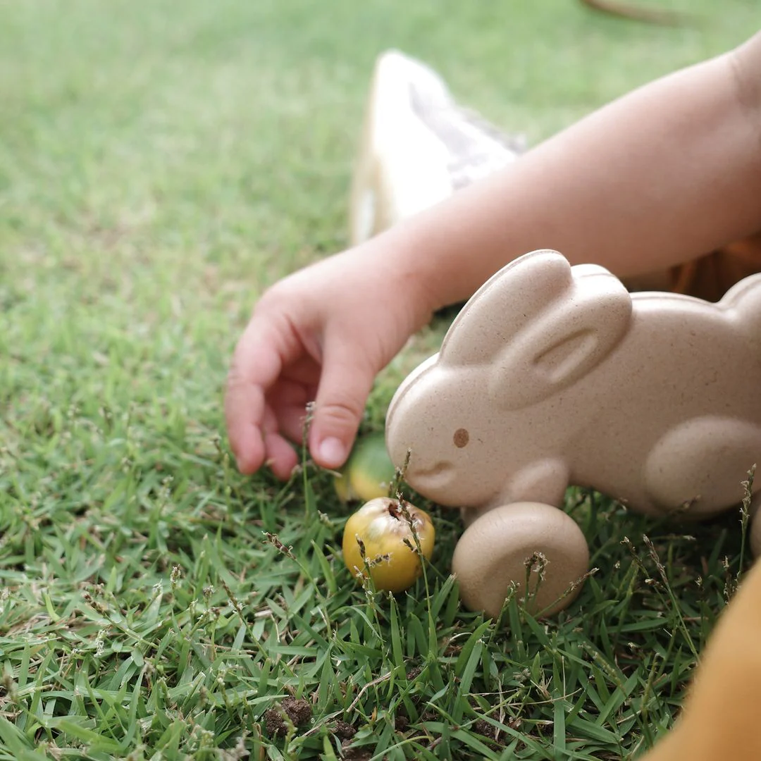 Push Along Bunny - White - Image 4