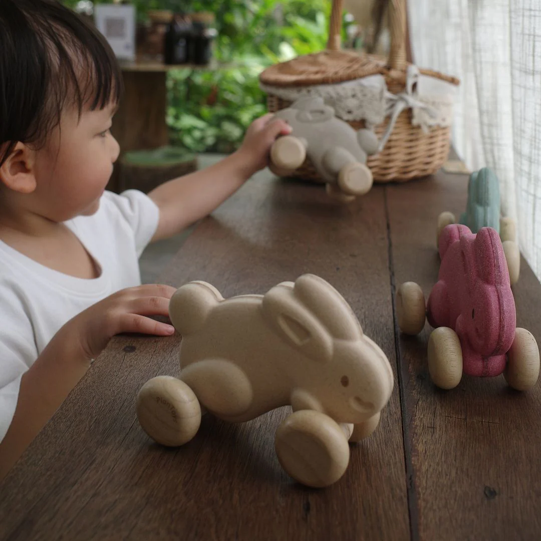 Push Along Bunny - White - Image 5
