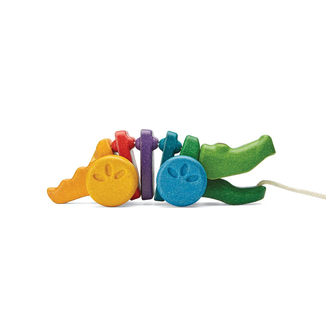 Rainbow Alligator - Image 10